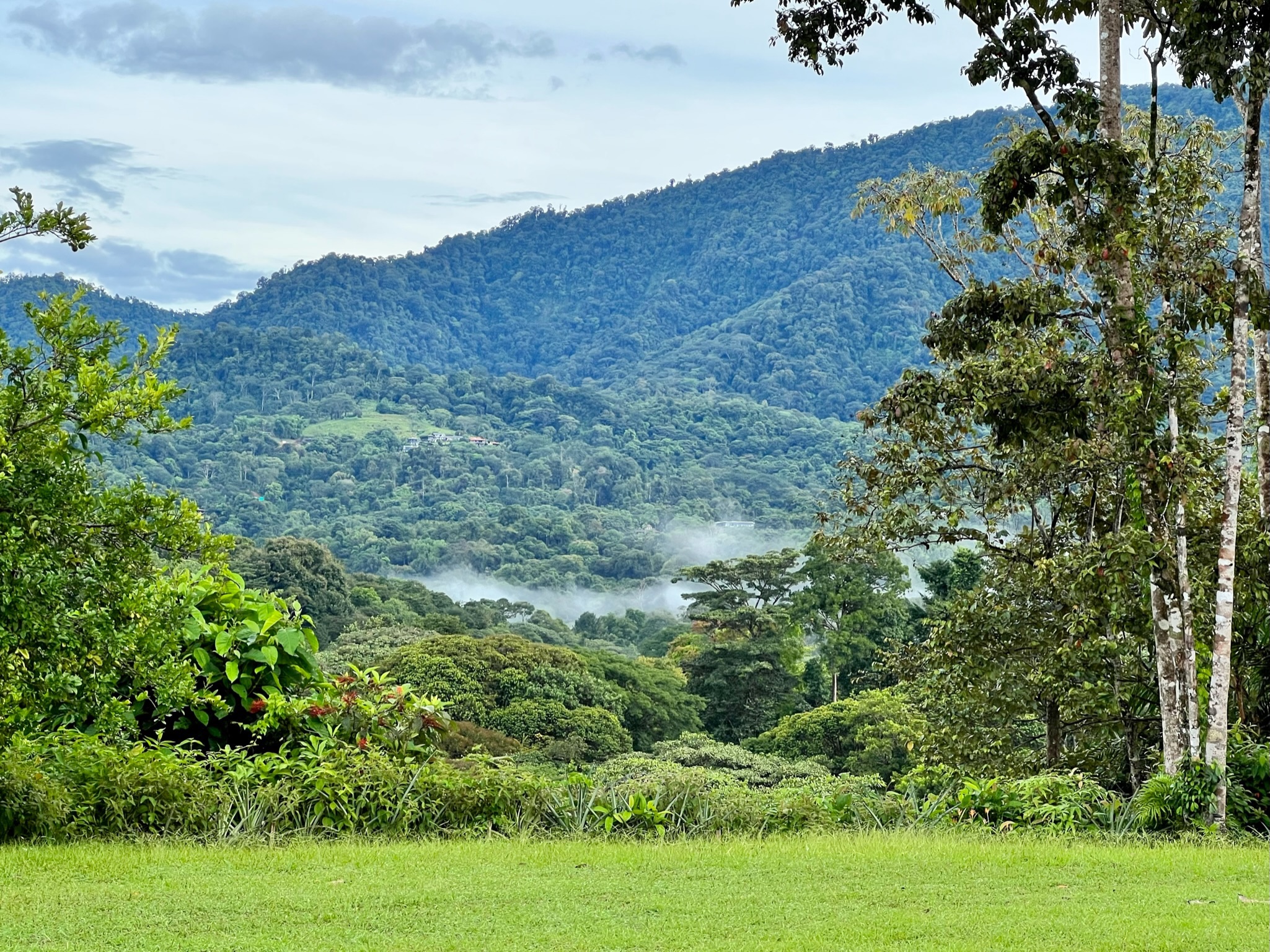Exploring the Enchanting Rainforests of Costa Rica